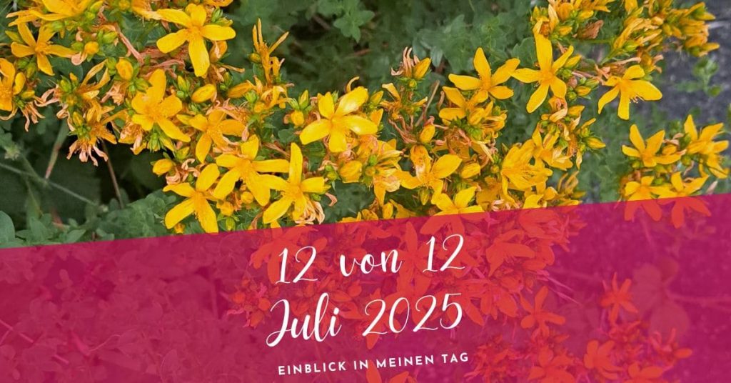 12 von 12 Juli 2025