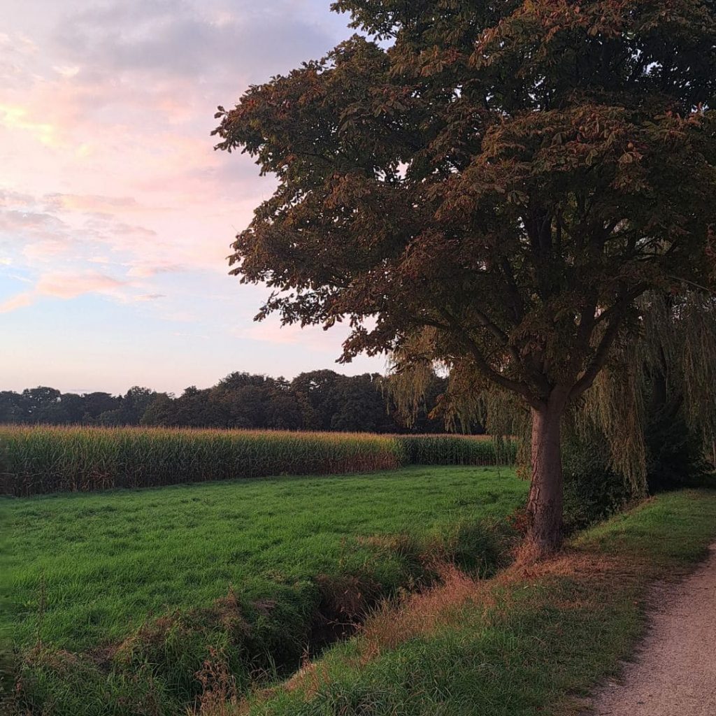 Im Einklang mit der Natur