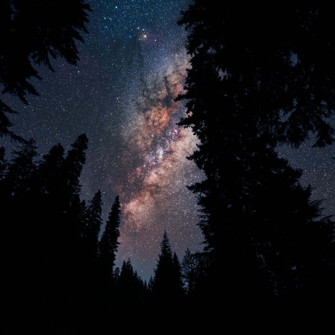 Samhain Ahnen Rauhnächte