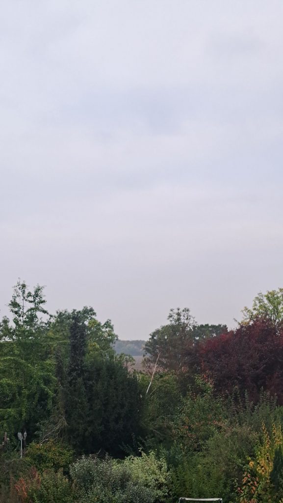 Blick aus dem Fenster