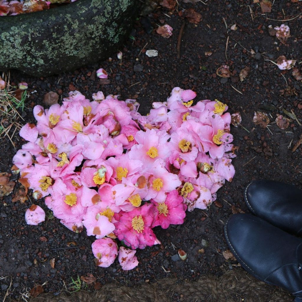 Dankbarkeitszeromonie